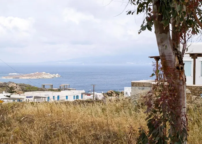 Giannoulaki 格拉斯托斯